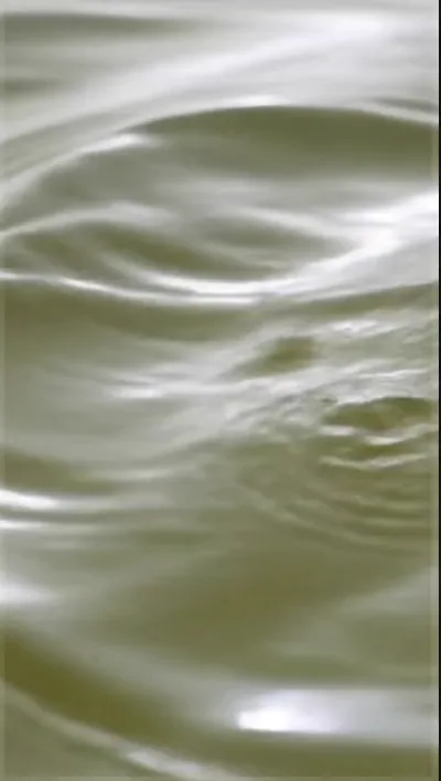 Cold-brewed calm, frame at 00:08 (80 % through)