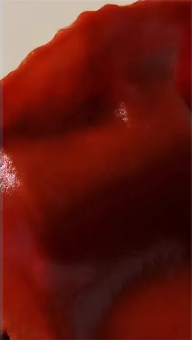 Roasted tomato, two ways, Cut A · Sauce pour, frame at 00:12 (80 % through)